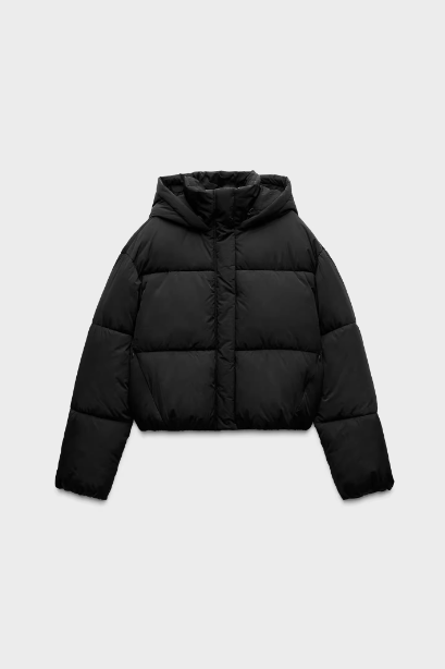 Hooded Harmony